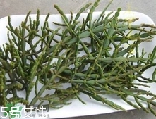 什么是螃蟹腳茶？螃蟹腳茶的功效禁忌