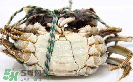 為什么說六月黃有公蟹沒有母蟹？怎樣區(qū)分螃蟹的公母