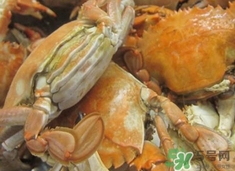 花蓋蟹死了能吃嗎？花蓋蟹死多久之內(nèi)能吃？