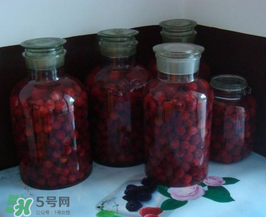 泡楊梅酒用什么瓶子？楊梅酒可以用塑料瓶泡嗎？