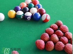 荔枝王的產(chǎn)地是哪里？荔枝王產(chǎn)地在哪兒