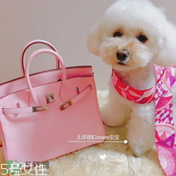 hermes birkin怎么看真假？愛馬仕鉑金包真假鑒別