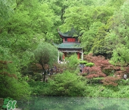 7月份去長(zhǎng)沙穿什么？七月份去長(zhǎng)沙穿什么衣服