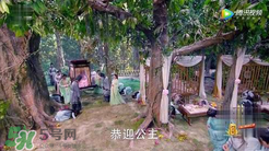 諜紙?zhí)煅酆屯鸂I有什么關系？