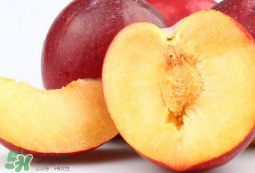 紅布林和黑布林哪個好？紅布林與黑布林的區(qū)別