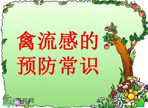 6月有禽流感嗎？2017年6月有禽流感嗎？