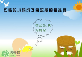 6月有禽流感嗎？2017年6月有禽流感嗎？
