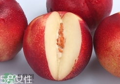 桃駁李是油桃嗎？桃駁李和油桃的區(qū)別