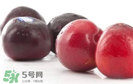 紅布林和黑布林哪個好？紅布林與黑布林的區(qū)別