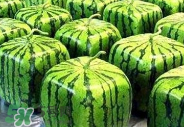 方形西瓜多少錢一斤2017？ 方形西瓜模具一個多少錢