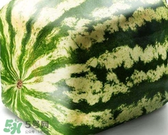 方形西瓜是如何種出來的？方形西瓜是怎么長(zhǎng)成的