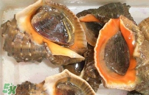 海螺是發(fā)物嗎？海螺是不是發(fā)物