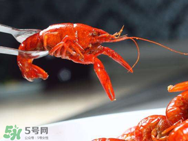 潛江小龍蝦有什么特色？潛江龍蝦節(jié)是每年什么時(shí)候？ 