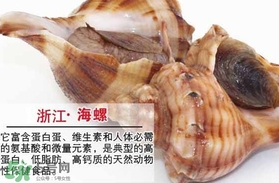 死海螺能吃嗎？死海螺可以吃嗎