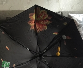 蕉下小黑傘能遮雨嗎？蕉下太陽(yáng)傘能淋雨嗎？