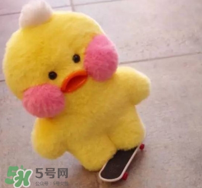 玻尿酸鴨哪里可以買到？一個玻尿酸鴨多少錢？