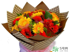 父親節(jié)可以送花嗎？父親節(jié)送什么花最合適？