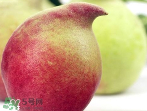 鷹嘴桃種植應(yīng)注意哪些？鷹嘴桃什么時間修剪