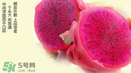 紅心火龍果對人體有哪些好處？紅心火龍果的禁忌