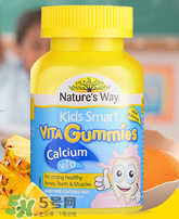 Nature's Way好嗎 Nature's Way保健品怎么樣？