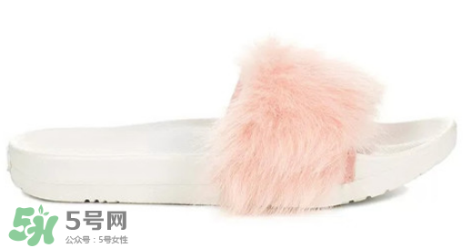 ugg royale小毛王拖鞋有哪幾種顏色？ugg小毛王拖鞋顏色有幾款？