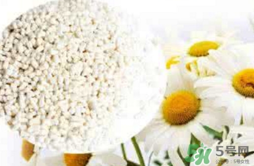 菊花晶是熱性還是涼性？菊花晶嬰兒可以喝嗎？
