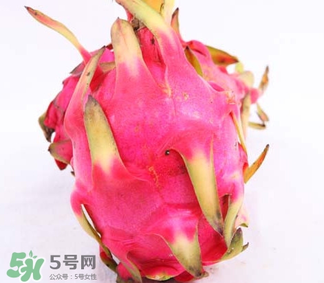 火龍果是酸性還是堿性？火龍果盆栽種植方法