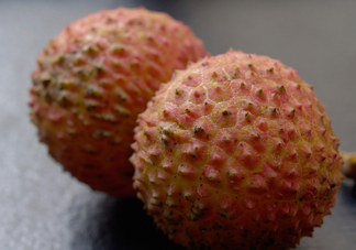 桂味荔枝和妃子笑哪個(gè)好吃？桂味荔枝和妃子笑區(qū)別