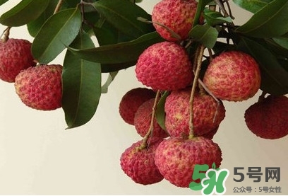 糯米糍荔枝多少錢一斤2017？糯米糍荔枝市場價格