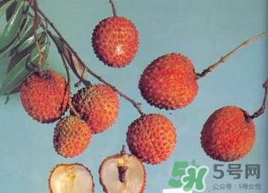 糯米糍荔枝產(chǎn)地是哪里？糯米糍荔枝上火嗎