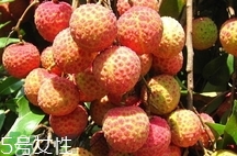 雞嘴荔枝多少錢一斤2017？香山雞嘴荔枝什么價錢