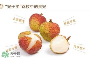 貴妃荔枝是哪里的？貴妃荔枝的產(chǎn)地是哪里