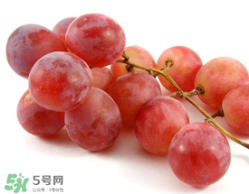 提子上的白色是什么？提子外面白色的是什么？