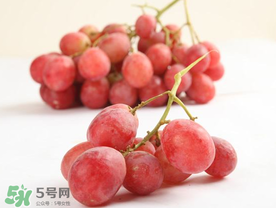 提子上的白色是什么？提子外面白色的是什么？