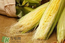 玉米須水什么人不能喝？玉米須煮水小孩能喝嗎？