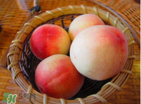 水蜜桃和西瓜能一起吃嗎？水蜜桃可以和西瓜一起吃嗎？