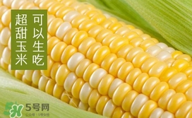 水果玉米是轉(zhuǎn)基因的嗎？水果玉米可以生吃嗎