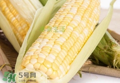 水果玉米多少錢(qián)一斤2017？水果玉米市場(chǎng)價(jià)格