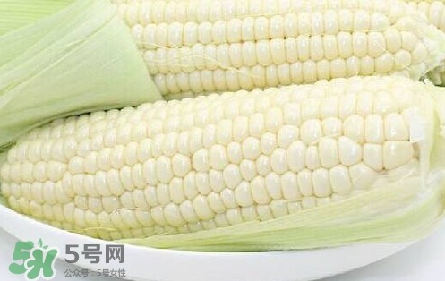水果玉米多少錢(qián)一斤2017？水果玉米市場(chǎng)價(jià)格