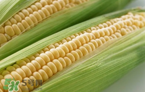 水果玉米熱量高嗎？一根水果玉米的熱量是多少