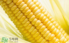 水果玉米是轉(zhuǎn)基因的嗎？水果玉米可以生吃嗎