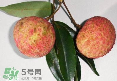 雞嘴荔枝多少錢一斤2017？香山雞嘴荔枝什么價錢