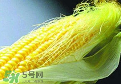 玉米須怎么吃降血糖？玉米須如何降血糖