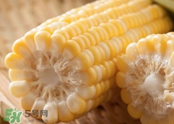 水果玉米多少錢(qián)一斤2017？水果玉米市場(chǎng)價(jià)格