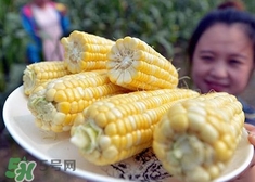 水果玉米和普通玉米有什么區(qū)別？水果玉米產地是哪里