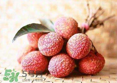 貴妃荔枝是哪里的？貴妃荔枝的產(chǎn)地是哪里