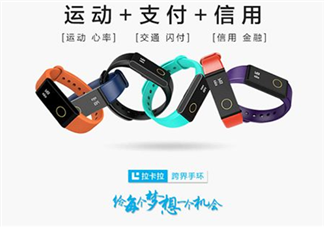 拉卡拉手環(huán)多少錢？拉卡拉手環(huán)價格