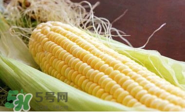 水果玉米是甜玉米嗎？水果玉米和甜玉米的區(qū)別