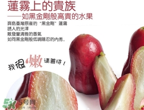 黑金剛蓮霧好吃嗎？黑金剛蓮霧多少錢一斤2017？