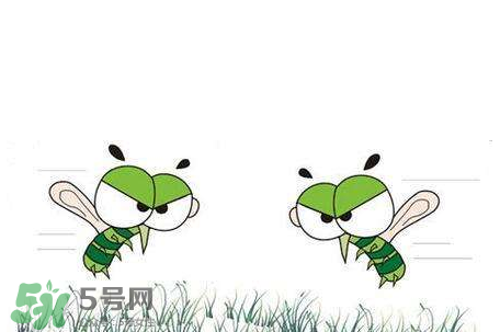 招蚊子是什么原因？招蚊子體質(zhì)怎么辦？